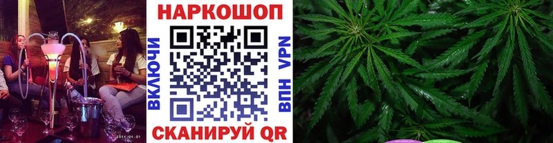 Гашиш Кущёвская