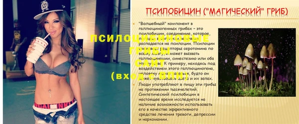 прущие крисы Балабаново